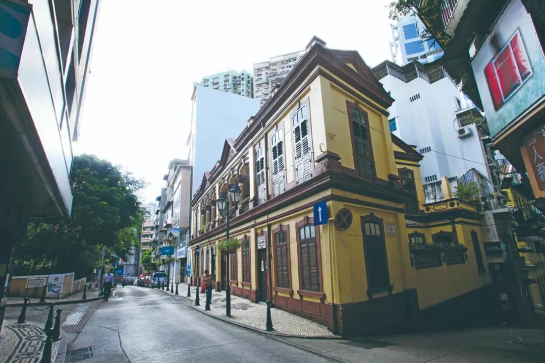 澳門今晚必開一肖，揭秘生肖運勢與預(yù)測邏輯，澳門今晚生肖預(yù)測揭秘，生肖運勢與預(yù)測邏輯分析