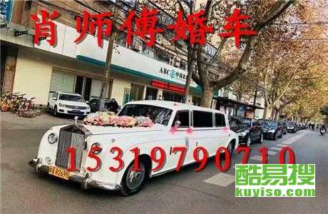 王中王車奪平特一肖免費——深度解析與探索，王中王車奪平特一肖，深度解析與免費探索