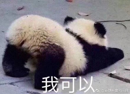 揭秘劉伯溫特一肖與四不像的神秘面紗——探尋背后的故事與真相，劉伯溫特一肖與四不像背后的故事與真相揭秘