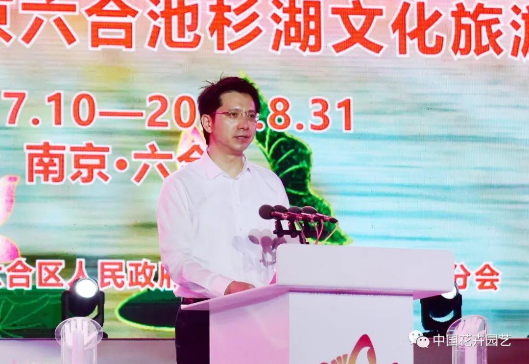 新奧門六和開獎結果今晚揭曉，熱門數字預測與最新趨勢分析，新奧門六和今晚開獎結果揭曉，熱門數字預測與趨勢分析