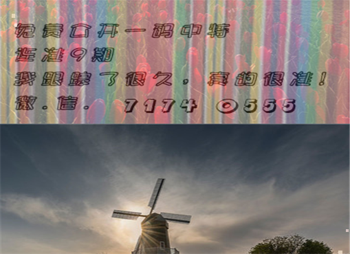 王中王四肖三期必出一期，揭秘彩票背后的秘密策略與技巧，揭秘彩票策略與技巧，王中王四肖三期必出一期之道
