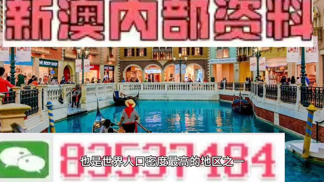 澳門王中王六碼新澳門，探索與解析，澳門王中王六碼新澳門，深度探索與解析