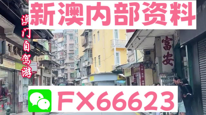 新澳精準資料免費提供，探索與利用資源助力成功，新澳精準資料免費分享，助力成功探索與利用資源