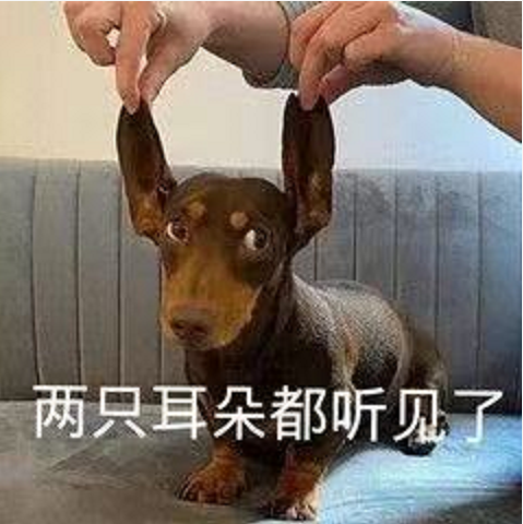 王中王四不象必中一肖，揭秘背后的秘密與策略，揭秘王中王四不象必中一肖背后的秘密與策略之道