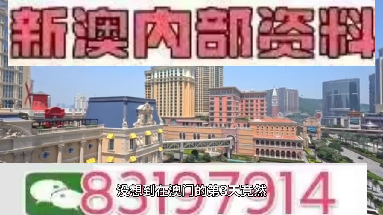 新澳門今晚必開一肖一特，探索生肖與特碼的魅力，澳門生肖特碼探索，今晚必開一肖一特之魅力
