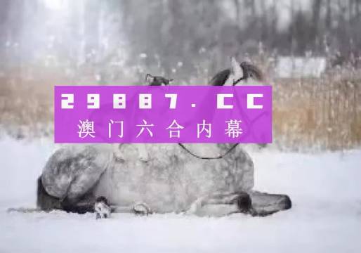 澳門正版精準資料，探索未來的趨勢與機遇（2024年展望），澳門正版精準資料揭秘，未來趨勢與機遇展望（2024年）