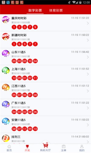 一碼一肖，揭秘背后的秘密與探索其獨(dú)特魅力，揭秘一碼一肖背后的秘密與獨(dú)特魅力探索