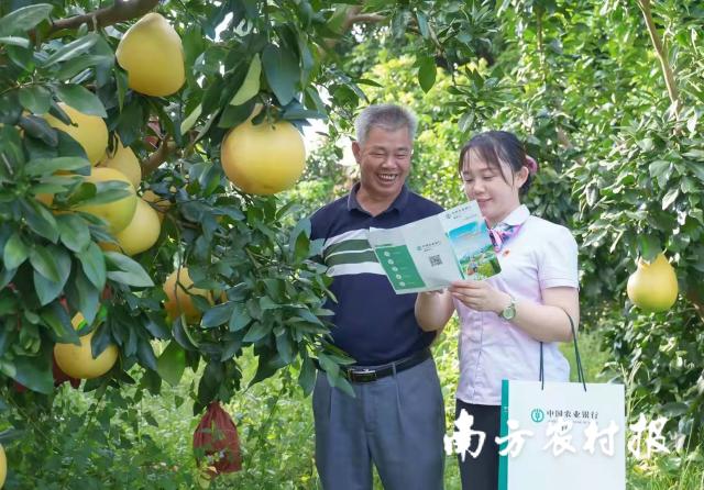 資料大全正版資料2025，一站式獲取所有你需要的信息，資料大全正版資料2025，一站式獲取所有信息總匯