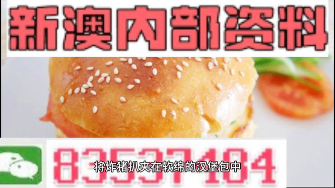 2025新澳正版資料精準解析，2025新澳正版資料精準解析手冊