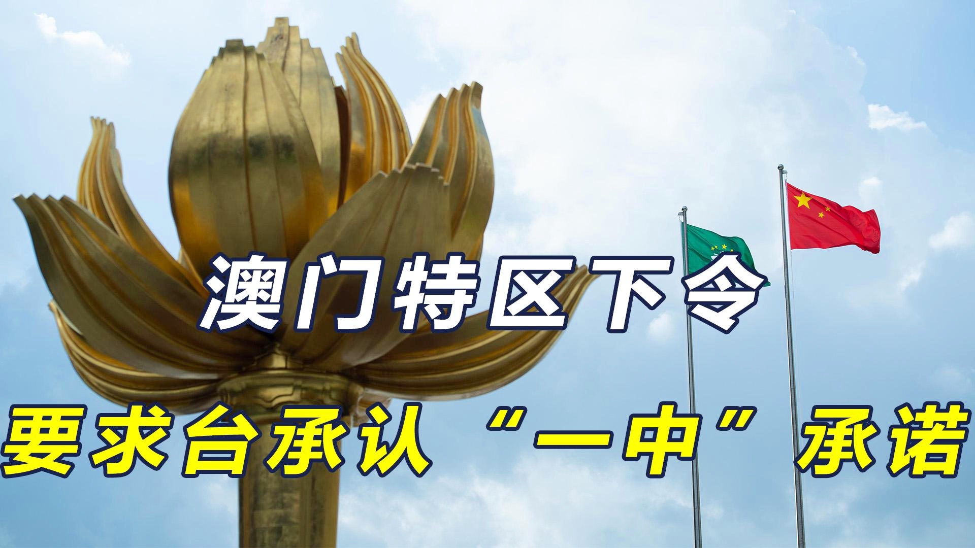 澳門一碼一肖一恃一中312期，揭秘與探索彩票文化背后的秘密，澳門彩票文化揭秘，一碼一肖背后的探索與奧秘