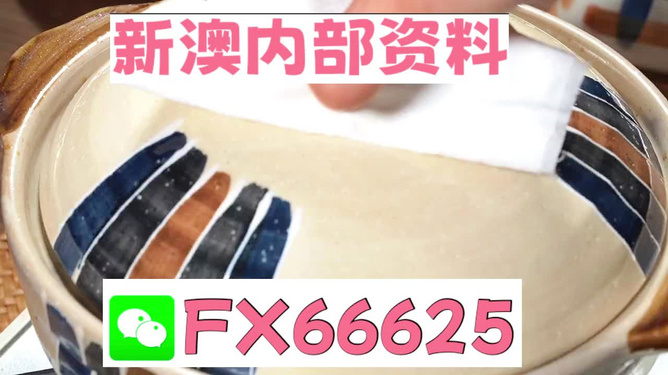 新澳精準資料免費提供，探索與實踐的指南，新澳精準資料免費分享，探索與實踐的導(dǎo)航指南