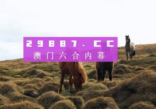 澳門六開獎(jiǎng)結(jié)果2023開獎(jiǎng)記錄查詢網(wǎng)站——全面解析與最新資訊，澳門六開獎(jiǎng)結(jié)果最新解析與資訊，全面查詢2023年開獎(jiǎng)記錄