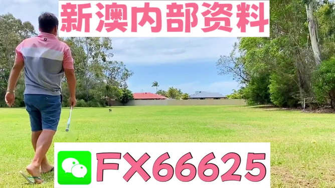 王中王一碼二肖，揭秘背后的秘密，揭秘王中王一碼二肖背后的秘密