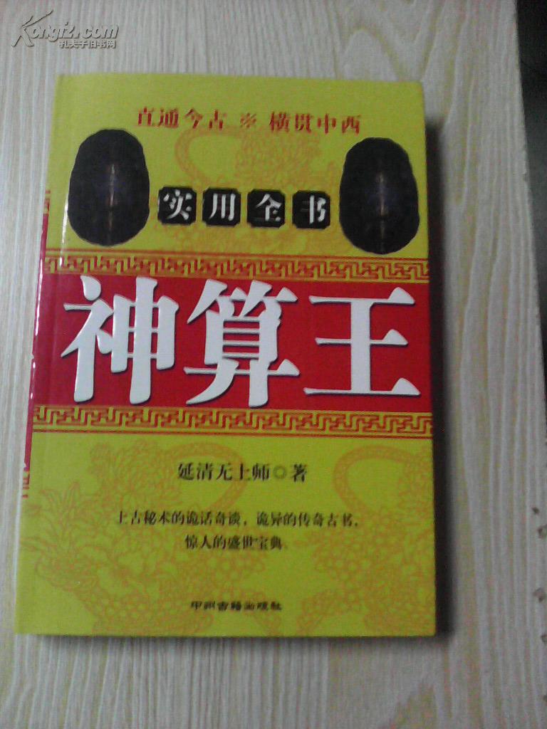 王中王資料一肖中特，揭秘神秘神算子背后的故事，揭秘神算子背后的故事，王中王資料一肖中特傳奇