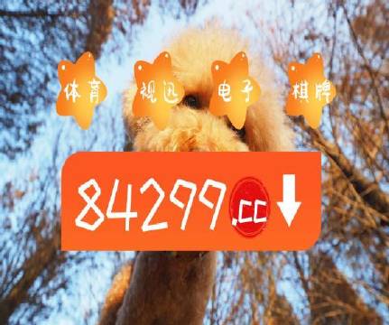 澳門天天開彩好正版掛牌第168期，探索彩票的魅力與策略，澳門彩票探索，魅力與策略揭秘 第168期正版掛牌開彩體驗