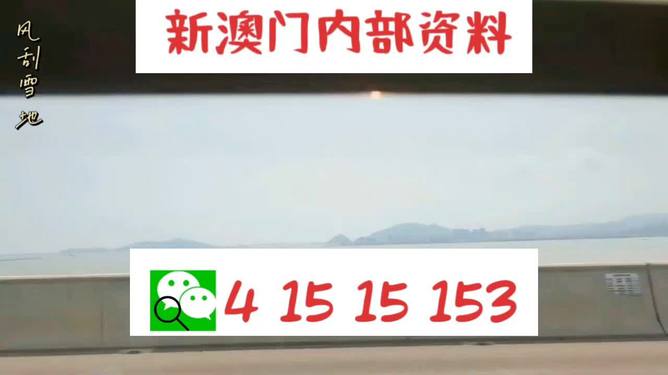 新澳2025最新資料生肖，深度解析與預(yù)測展望，新澳2025最新生肖資料深度解析與未來預(yù)測展望