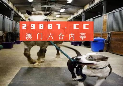 澳門一肖一碼一必中一肖，同舟前進(jìn)的奧秘與策略，澳門一肖一碼必中策略與前進(jìn)奧秘，同舟共濟(jì)的揭秘與策略