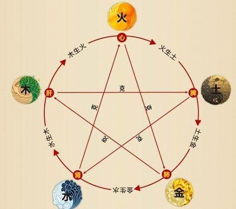 鐵算算盤4887最準(zhǔn)資料，揭秘其背后的秘密與優(yōu)勢(shì)，揭秘鐵算算盤4887，最準(zhǔn)資料背后的秘密與優(yōu)勢(shì)
