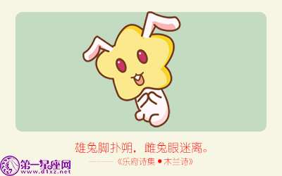 揭秘精準生肖，探尋神奇的數(shù)字組合777778與888888背后的生肖秘密，揭秘生肖秘密，數(shù)字組合777778與888888背后的生肖傳奇