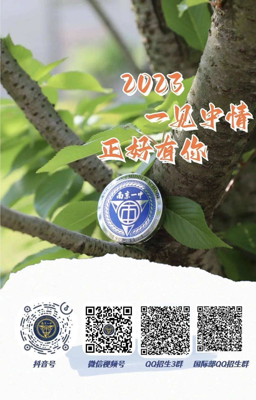 一碼一肖一特一中，揭秘背后的秘密與奧秘，揭秘一碼一肖一特一中背后的秘密奧秘
