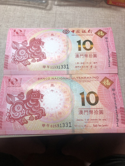 揭秘明天澳門必中生肖的神秘面紗，揭秘明天澳門必中生肖的神秘秘密