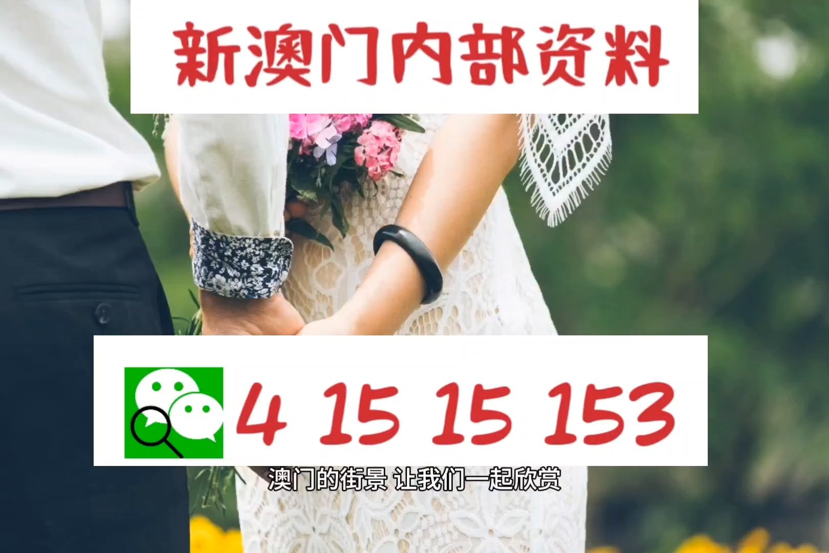 澳門特碼的開獎記錄，歷史數(shù)據(jù)與趨勢分析，澳門特碼開獎記錄、歷史數(shù)據(jù)與趨勢分析概覽