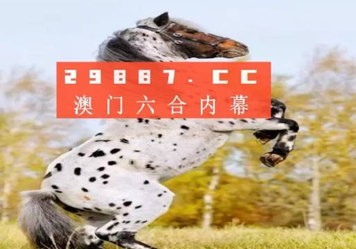 白小姐的精準免費四肖，揭秘背后的秘密，揭秘白小姐精準免費四肖背后的秘密