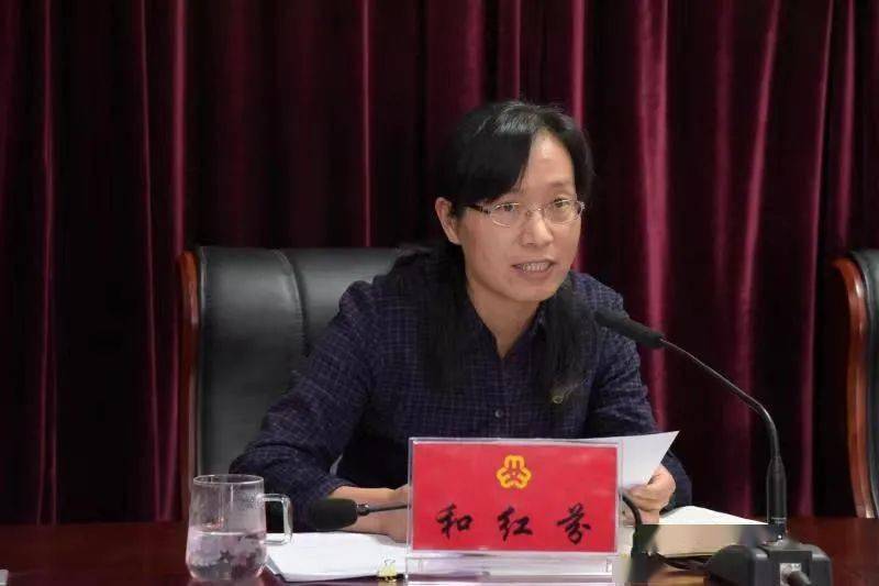 二四六香港期期中的資料解析與SEO優(yōu)化策略，香港期期二四六資料解析與SEO優(yōu)化策略探討