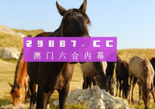 香港生肖精準(zhǔn)管家婆之7777888888精準(zhǔn)分析，香港生肖精準(zhǔn)管家婆之精準(zhǔn)分析，7777與8888的奧秘