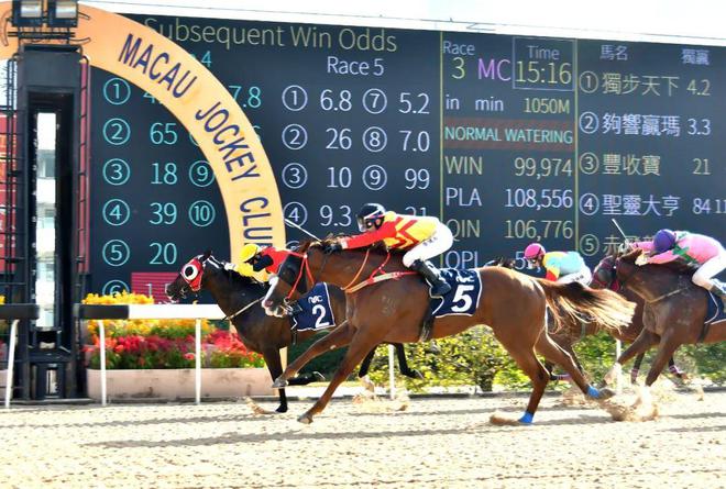澳門馬免費(fèi)料期期公開，探索背后的真相與秘密，澳門馬免費(fèi)料期期公開背后的真相與秘密探索