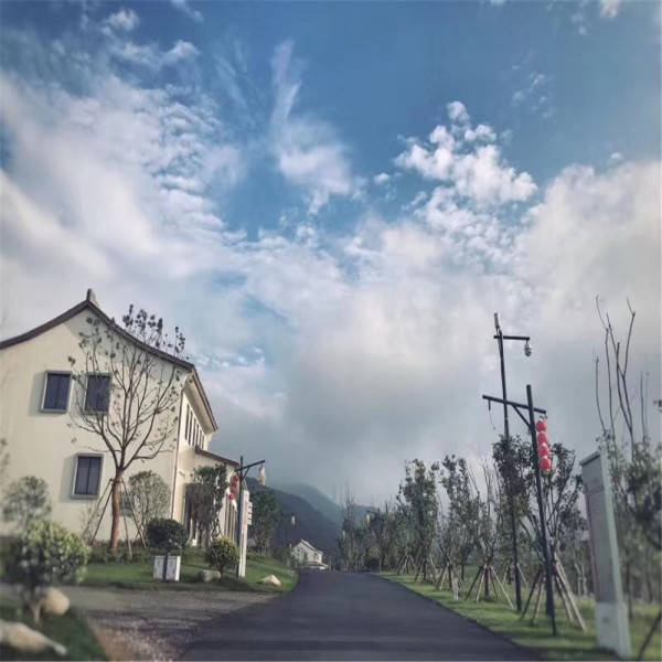 新奧今晚開一肖一特講解詞語，揭秘生肖與特肖的獨(dú)特魅力，揭秘生肖與特肖的獨(dú)特魅力，新奧今晚一開一特講解詞語
