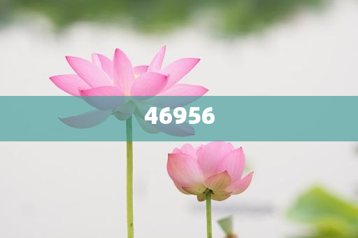 新奧集團(tuán)，邁向2025，天天開(kāi)好彩的愿景與挑戰(zhàn)，新奧集團(tuán)邁向2025，實(shí)現(xiàn)天天開(kāi)好彩的愿景與挑戰(zhàn)
