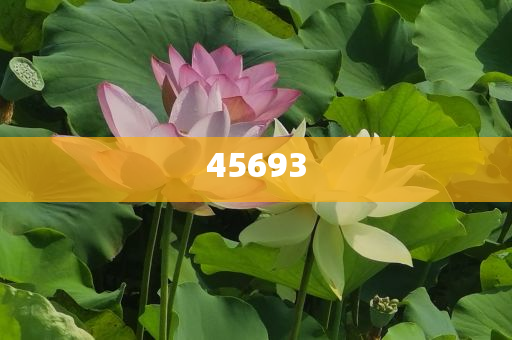 全新升級(jí)，7777888888精準(zhǔn)新管家，全新升級(jí)管家，精準(zhǔn)管理，一站式服務(wù) 7777888888新管家重磅來(lái)襲