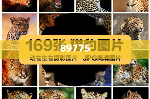 關(guān)于新奧歷史開(kāi)獎(jiǎng)記錄的最新信息，今天公布了嗎？，新奧歷史開(kāi)獎(jiǎng)記錄最新信息公布了嗎？