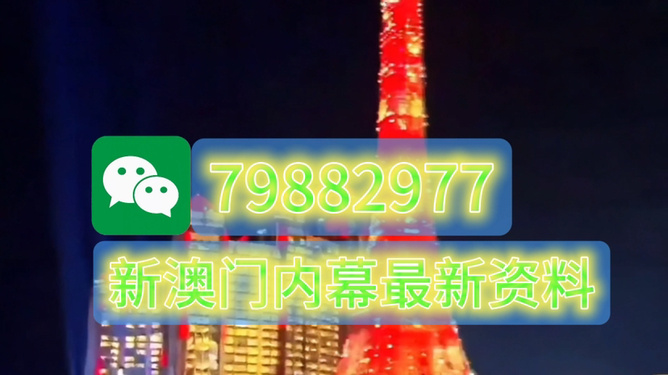 全新2025澳門生肖卡，探索未來幸運(yùn)之門，全新2025澳門生肖卡，開啟未來幸運(yùn)之門