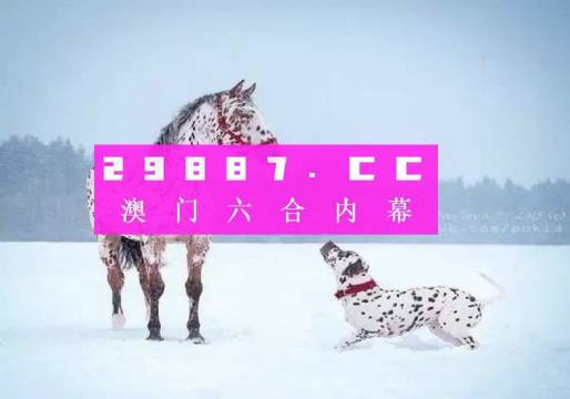 澳門一肖一碼狀元紅，揭秘彩票背后的秘密與策略，澳門彩票揭秘，狀元紅背后的秘密與策略解析