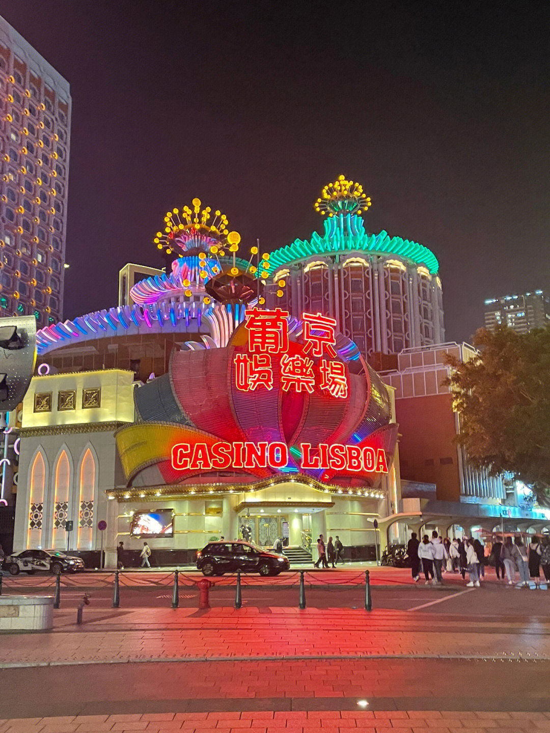 澳門今晚必開一肖一特芳草地，探索生肖與運勢的神秘面紗，澳門生肖運勢揭秘，探索今晚必開一肖一特芳草地神秘面紗的運勢之旅
