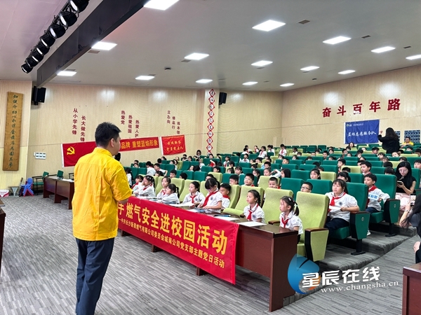 新奧49正版資料，探索與解析，新奧49正版資料深度探索與解析