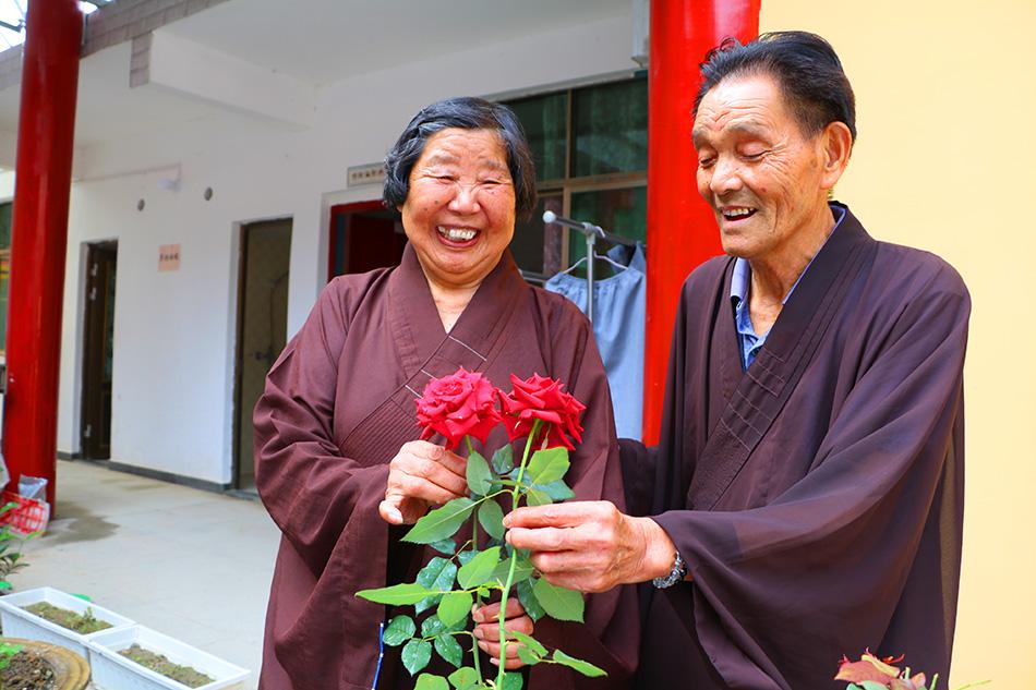 揭秘最準一碼一肖，揭秘背后的秘密與真相，鳳凰網獨家報道，獨家揭秘，最準一碼一肖背后的秘密真相（鳳凰網報道）