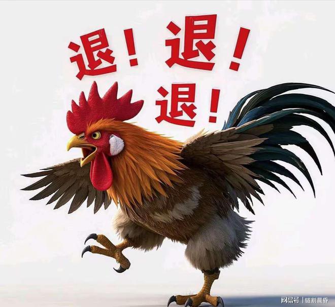今晚特馬生肖必開資料，深度解析與預(yù)測，深度解析與預(yù)測，今晚特馬生肖必開資料揭秘