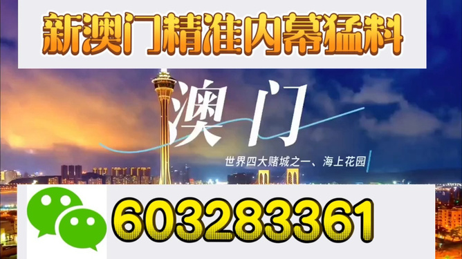 新澳門今晚開獎結(jié)果揭曉，探索彩票背后的秘密與期待，新澳門今晚開獎結(jié)果揭曉，彩票背后的秘密與期待揭曉之夜