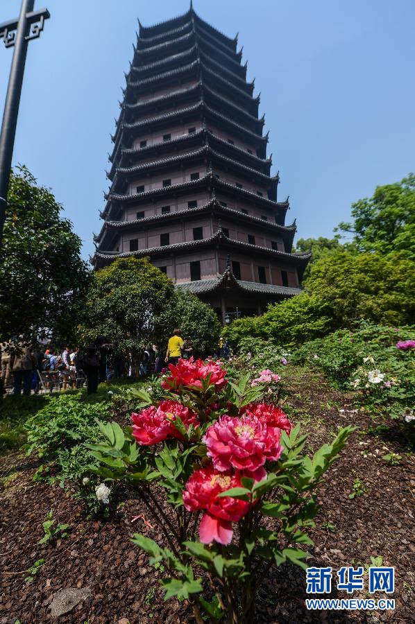 六和彩開碼資料網(wǎng)——探索彩票世界的門戶，六和彩開碼資料網(wǎng)，彩票世界探索之門