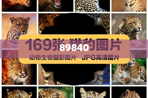 揭秘新奧集團，展望未來的最新資料，探尋五不中的奧秘，新奧集團未來展望，探尋五不中的奧秘與揭秘最新發(fā)展資料