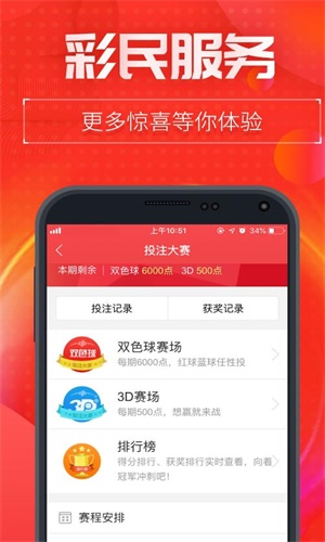 正版王中王一肖二碼中特，探索與解析，正版王中王一肖二碼中特，深度探索與解析