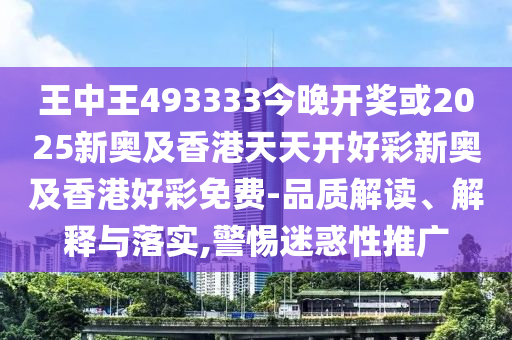 王中王493333中特大全，深度解析與SEO優(yōu)化策略，王中王493333中特大全，深度解析與SEO優(yōu)化策略指南