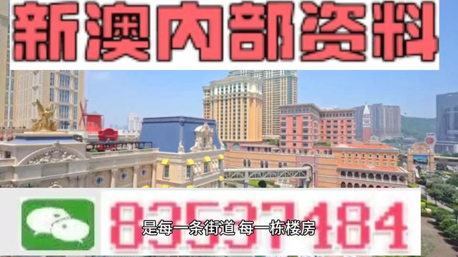 新澳門最精準(zhǔn)正最精準(zhǔn)龍門——探索澳門的魅力與機(jī)遇，澳門魅力與機(jī)遇探索，新澳門最精準(zhǔn)龍門