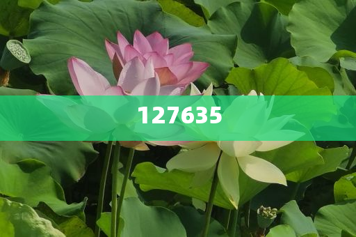 揭秘7777788888精準(zhǔn)新傳真，一網(wǎng)打盡所有細(xì)節(jié)，揭秘精準(zhǔn)新傳真7777788888，一網(wǎng)打盡所有細(xì)節(jié)揭秘與解析