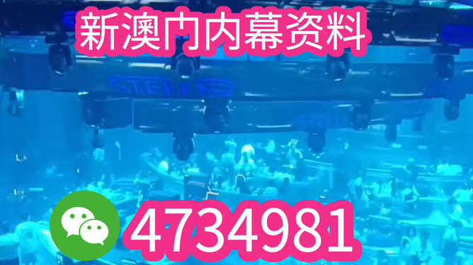 澳門彩票開獎(jiǎng)結(jié)果王中王預(yù)測與解析（2025年展望），澳門彩票王中王預(yù)測與解析，展望2025年開獎(jiǎng)結(jié)果