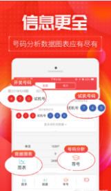 王中王一肖碼，探索數(shù)字世界的奧秘，王中王一肖碼，數(shù)字世界奧秘的探索