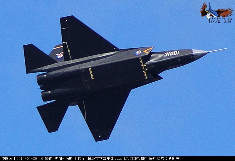 殲31飛機模型，探索其獨特魅力與重要性，殲31飛機模型，獨特魅力與重要性的深度探索